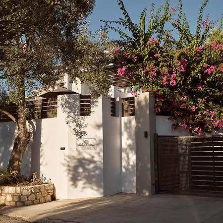 Villa Solis Ortus Villa, A Sublime Sanctuary With Pool, By Thinkvilla *